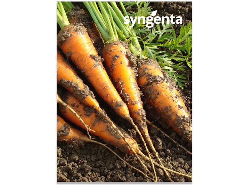 Syngenta Internal Branding 36x48 2.jpg